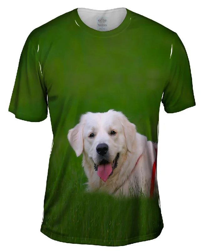 Men's long - sleeve henley t - shirts with button - down placketsHungry Retriever