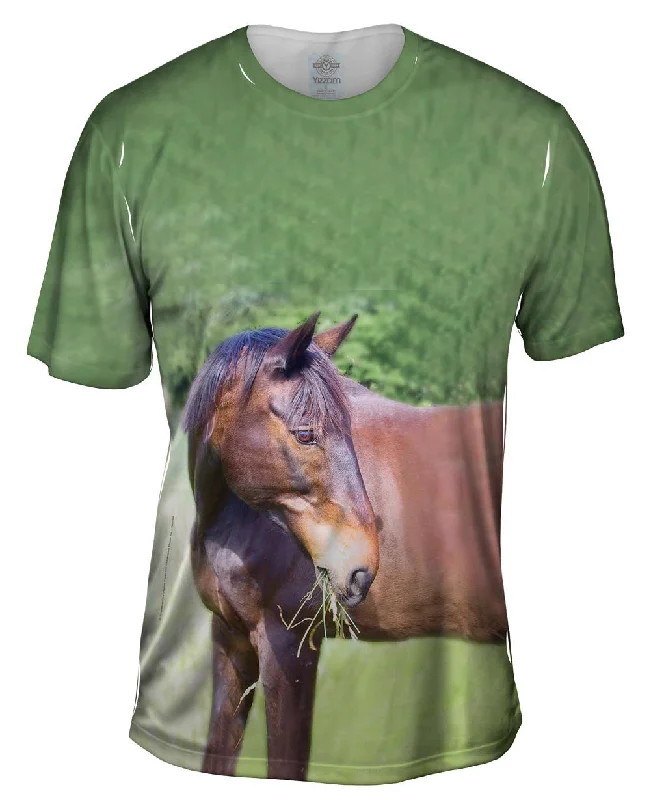 Men's button - front t - shirts with a unique artistic printI Love Hay Horse