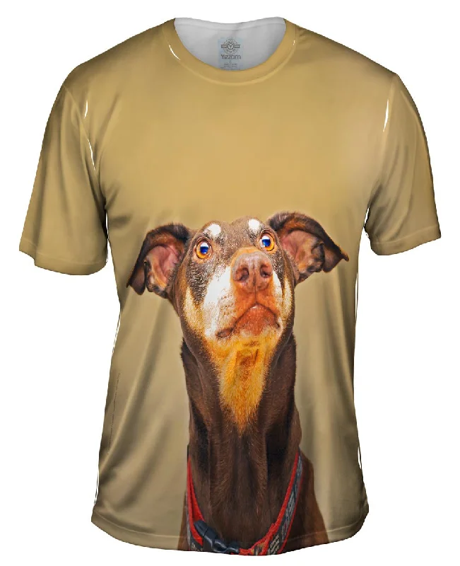 Men's long - sleeve henley t - shirts with button - down placketsIs That Bacon Golden Doberman Pinscher Men's long - sleeve henley t - shirts with button - down placketsIs That Bacon Golden Doberman Pinscher