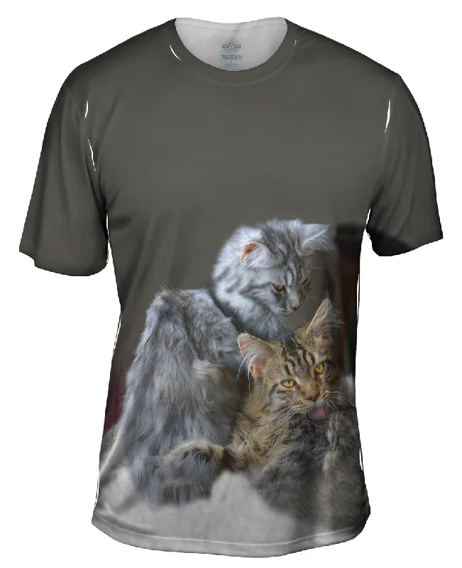 Men's antimicrobial t - shirts for odor - free freshness during travelKitten Friends Lounging Men's antimicrobial t - shirts for odor - free freshness during travelKitten Friends Lounging