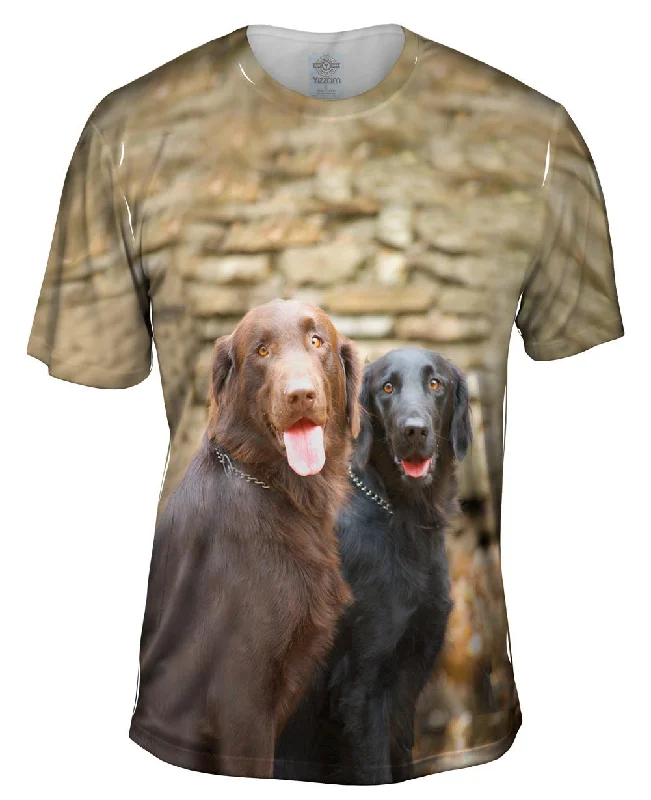 Men's polo t - shirts with a contrast collar for a preppy lookLabrador Friends