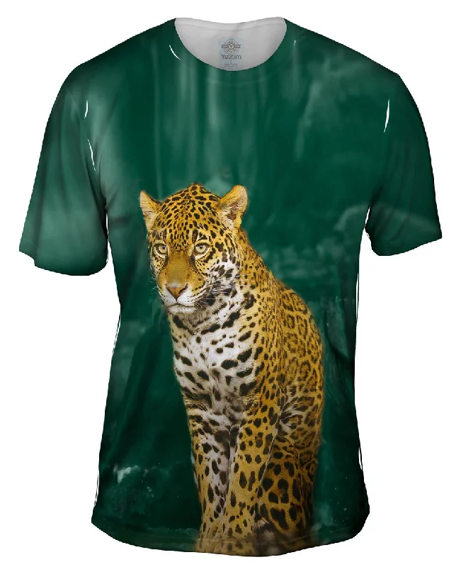 Men's short - sleeve linen t - shirts for summer beach outingsLeopard 002