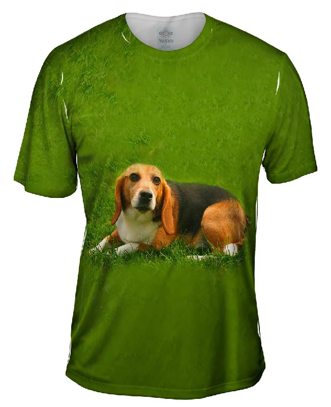Men's plus - size pocket t - shirts with a classic lookLets Play Beagle