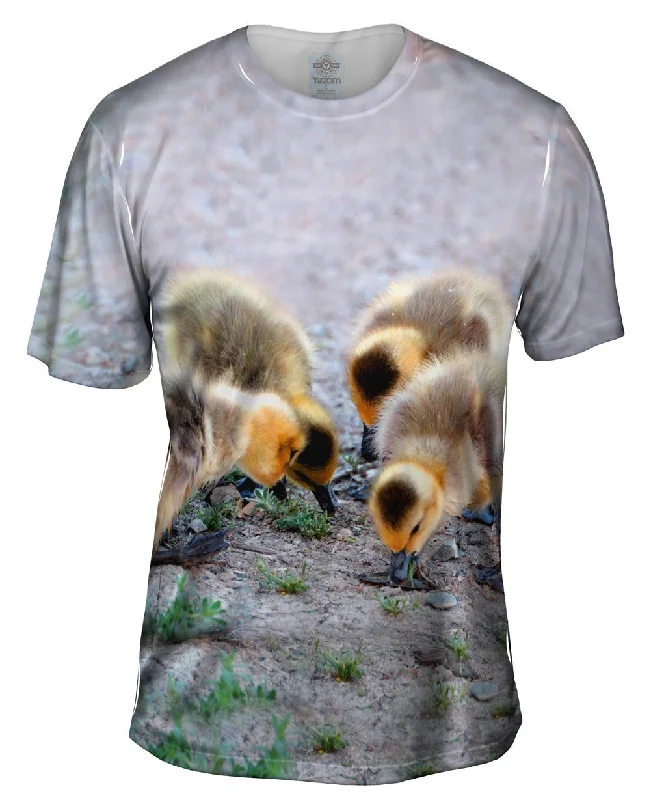 Men's lightweight performance t - shirts for running marathonsLittle Goslings Feeding Men's lightweight performance t - shirts for running marathonsLittle Goslings Feeding