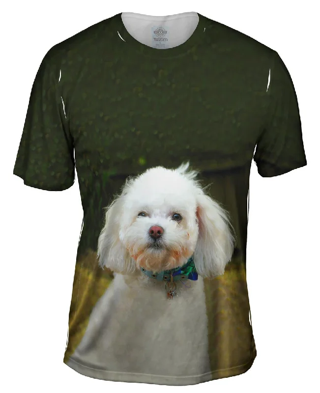 Men's distressed denim - look t - shirts with a rugged appealLittle White Poodle