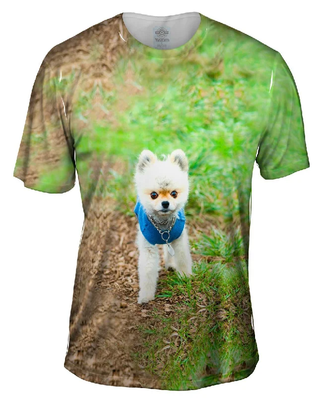 Men's slim - fit graphic t - shirts with vintage rock band printsLollipop Head Pomeranian Men's slim - fit graphic t - shirts with vintage rock band printsLollipop Head Pomeranian