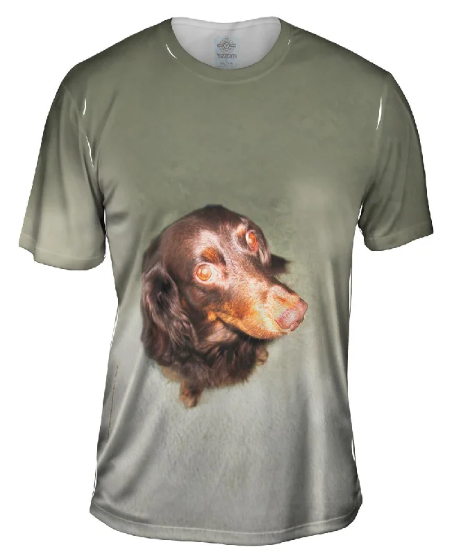 Men's slim - fit graphic t - shirts with vintage rock band printsLong Haired Dachshund Glare Men's slim - fit graphic t - shirts with vintage rock band printsLong Haired Dachshund Glare