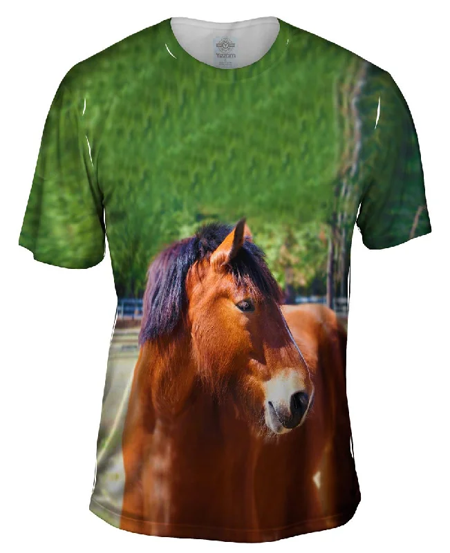 Men's mock - neck t - shirts with a modern and sleek styleLonging  Horse