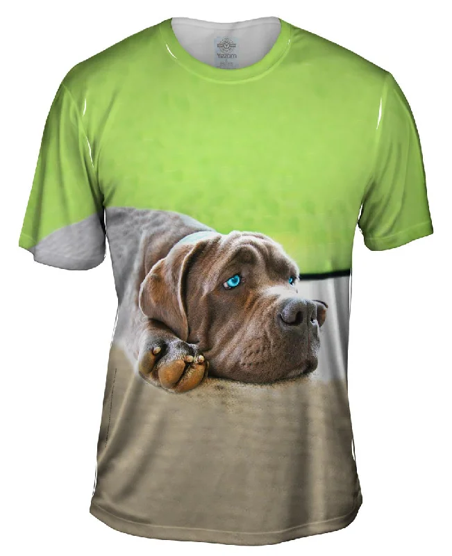 Men's thermal t - shirts with a high - neck design for cold weatherLucy Sad Mastiff