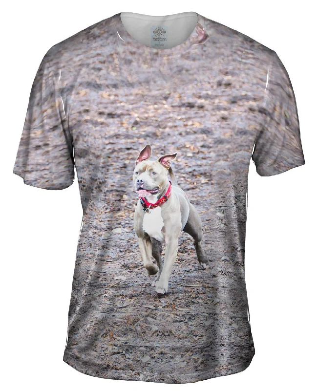 Men's v - neck muscle t - shirts for a body - building aestheticMagnificent Boxer