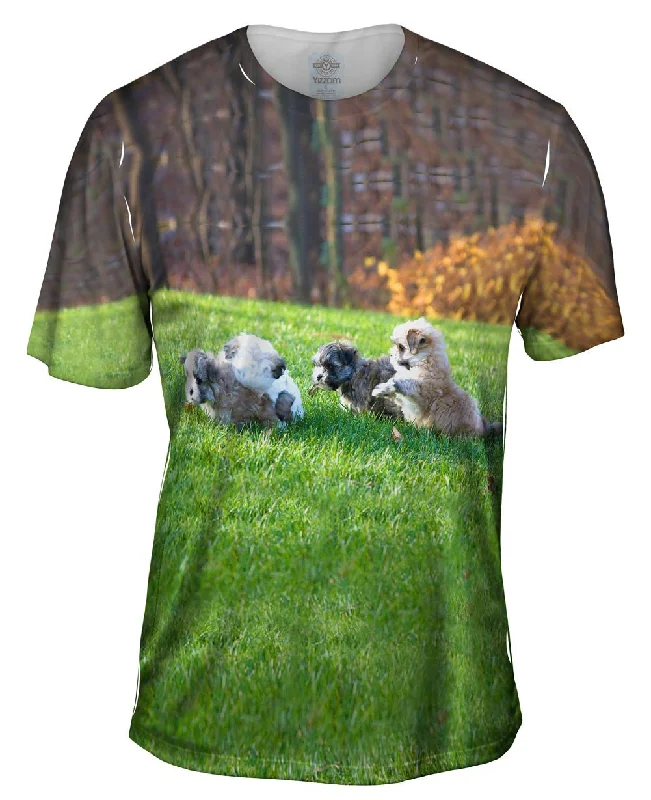 Men's short - sleeve linen t - shirts for summer beach outingsMaltese Friends Playing Men's short - sleeve linen t - shirts for summer beach outingsMaltese Friends Playing