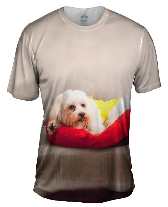 Men's short - sleeve linen t - shirts for summer beach outingsMaltese On Doggy Bed