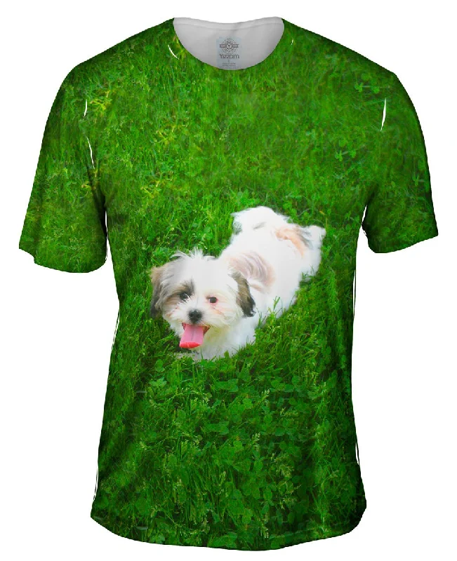 Men's antimicrobial t - shirts for odor - free freshness during travelMaltese Rolling Around