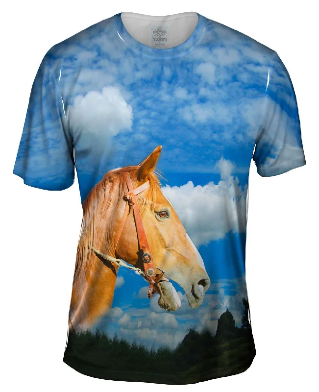 Men's polo t - shirts with a contrast collar for a preppy lookMighty Horse