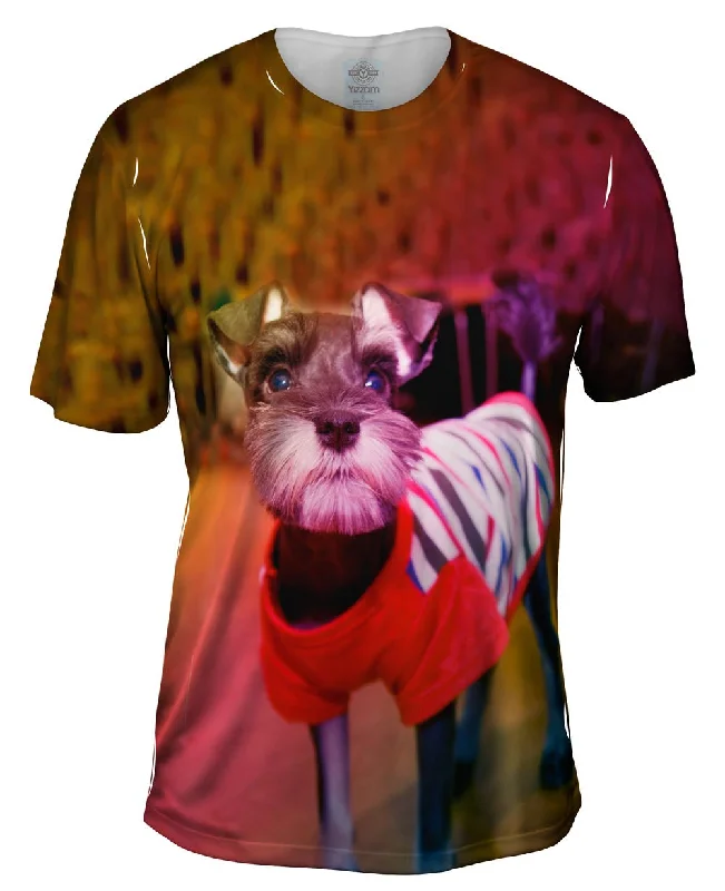 Men's UV - protection t - shirts for outdoor activities in the sunMiniature Schnauzer Sweater Men's UV - protection t - shirts for outdoor activities in the sunMiniature Schnauzer Sweater