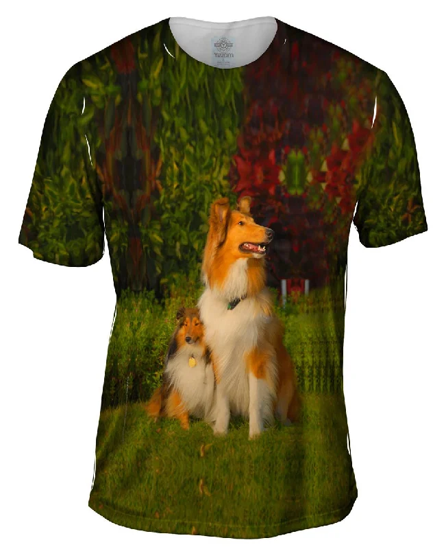 Men's polo t - shirts with a contrast collar for a preppy lookMomma Border Collie