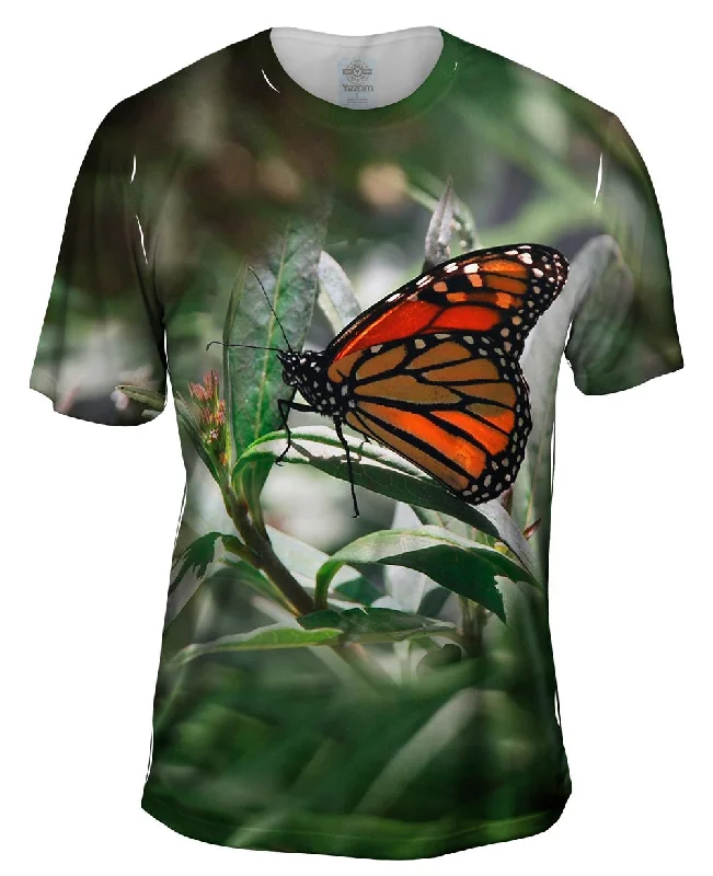 Men's polo t - shirts with a contrast collar for a preppy lookMono Butterfly