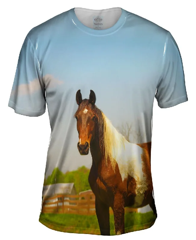 Men's slim - fit graphic t - shirts with vintage rock band printsMountainous Brown White Horse