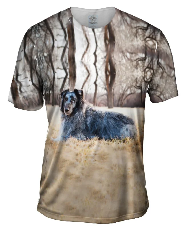 Men's short - sleeve linen t - shirts for summer beach outingsOld Grey Sheltie