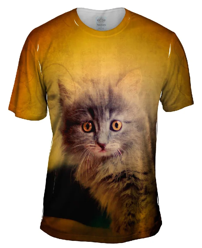 Men's long - sleeve henley t - shirts with button - down placketsOldie Kitten