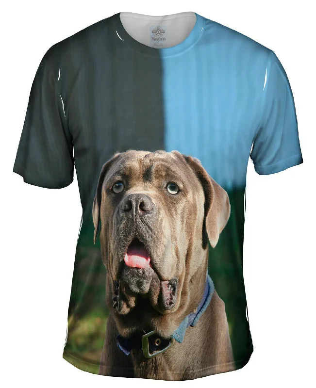 Men's mock - neck t - shirts with a modern and sleek styleOmg Green Eyed Mastiff