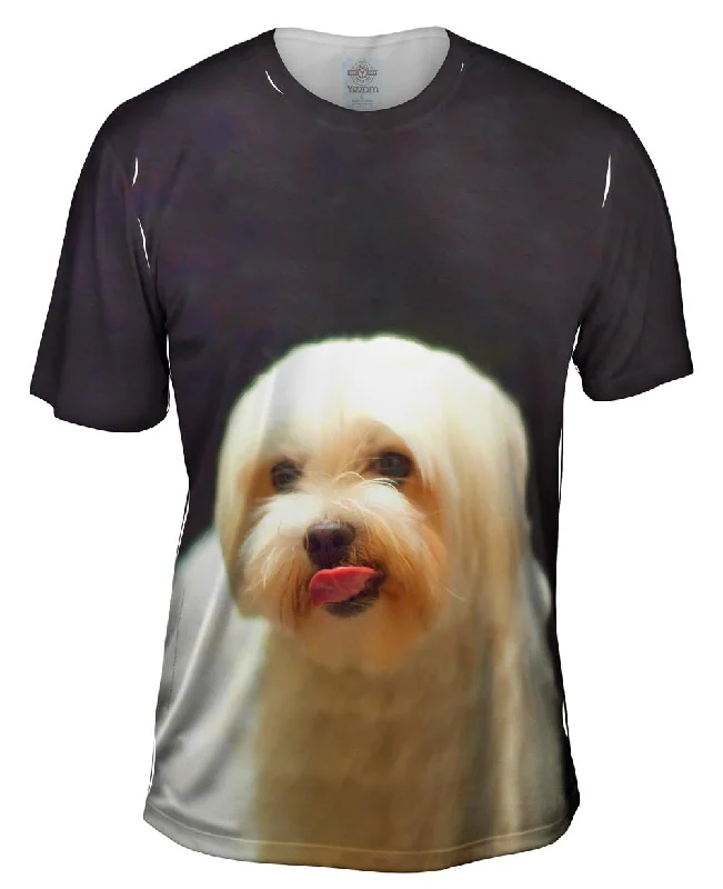 Men's UV - protection t - shirts for outdoor activities in the sunPainting Gold Maltese