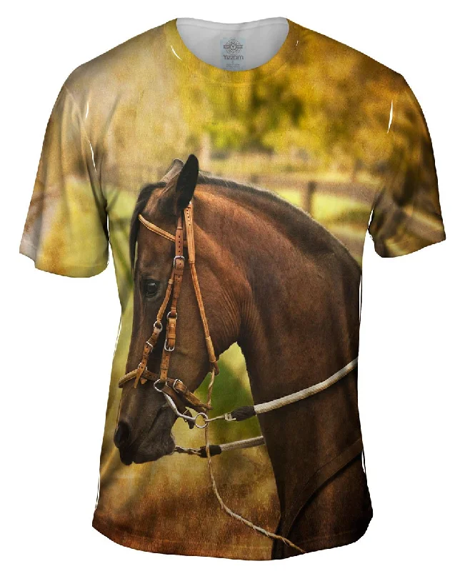 Men's mock - neck t - shirts with a modern and sleek stylePaso Fino Lord
