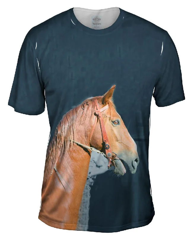 Men's distressed denim - look t - shirts with a rugged appealPaso Fino Profile