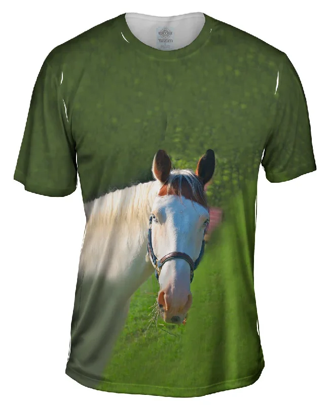 Men's antimicrobial t - shirts for odor - free freshness during travelPaso Fino With Spunk