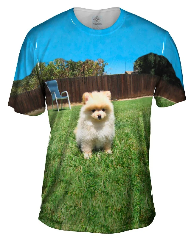 Men's long - sleeve henley t - shirts with button - down placketsPerfect Backyard Pomeranian