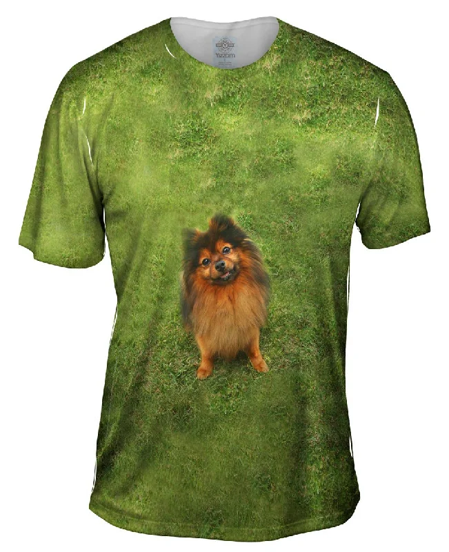 Men's short - sleeve linen t - shirts for summer beach outingsPhotogenic Pomeranian