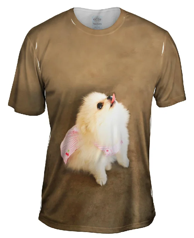 Men's polo t - shirts with a contrast collar for a preppy lookPomeranian Cherry Cape Superhero