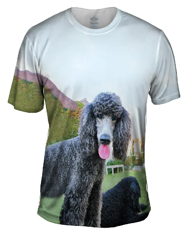 Men's antimicrobial t - shirts for odor - free freshness during travelPoodle And Friend