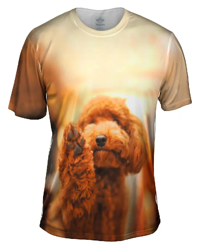 Men's distressed denim - look t - shirts with a rugged appealPoodle High Five