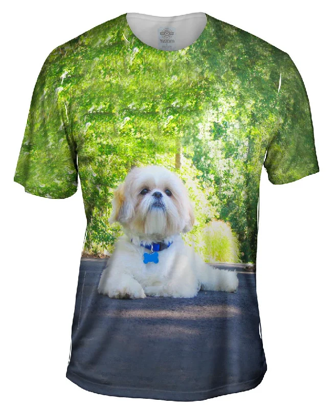 Men's lightweight performance t - shirts for running marathonsPoodle On Highway