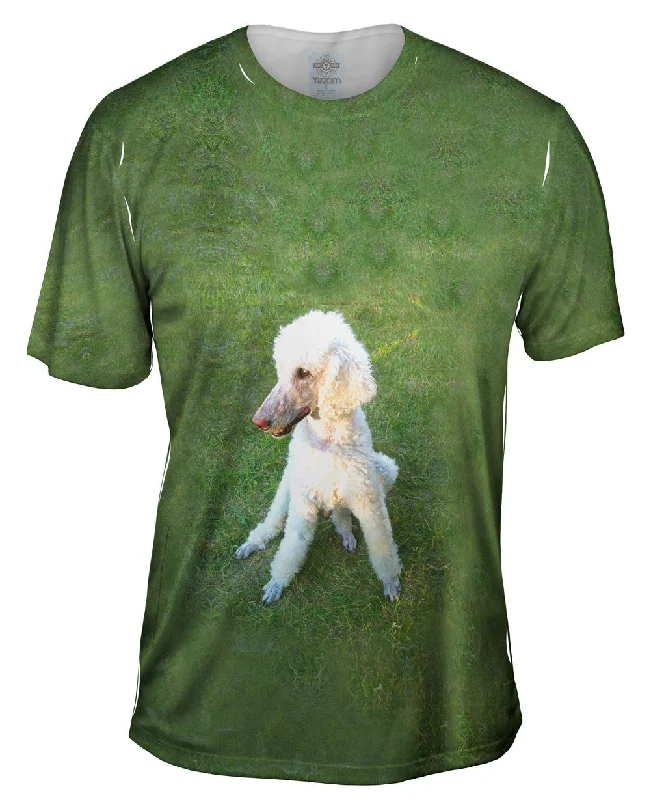 Men's moisture - wicking athletic t - shirts for intense workoutsPoodle Tripod