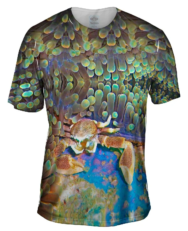 Men's v - neck muscle t - shirts for a body - building aestheticPorcelain Crab Underwater