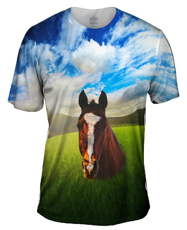 Men's polo t - shirts with a contrast collar for a preppy lookPortrait Horse