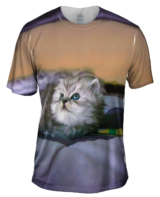Men's smart - casual checkered t - shirts for semi - formal occasionsPosing Cat