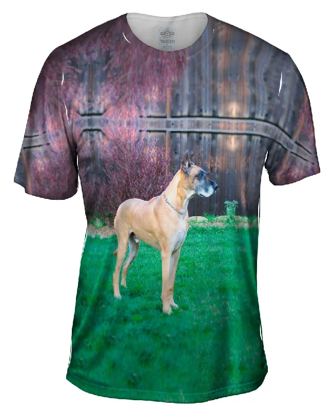 Men's v - neck muscle t - shirts for a body - building aestheticPrestigious Great Dane