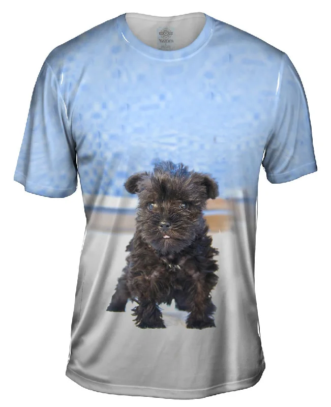 Men's v - neck muscle t - shirts for a body - building aestheticQuirky Schnauzer Poolside