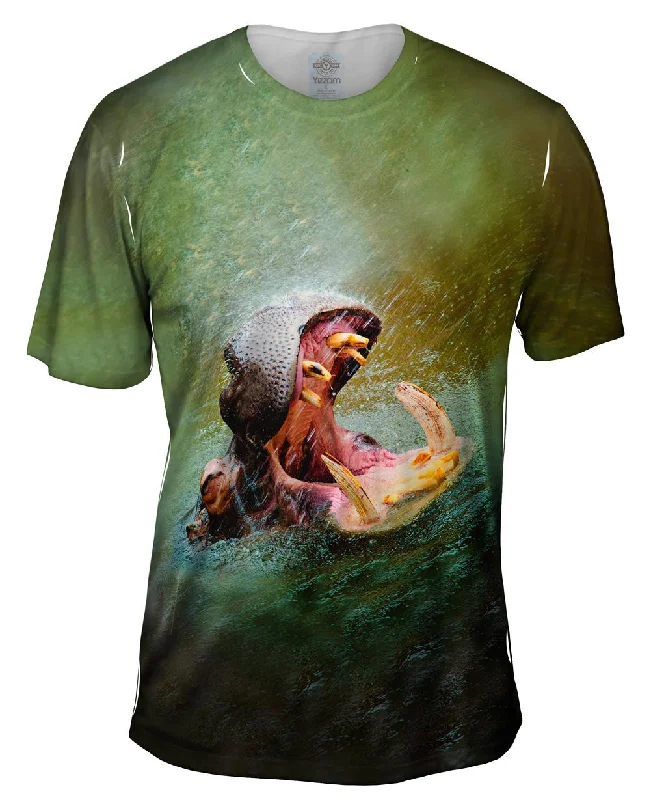 Men's long - sleeve henley t - shirts with button - down placketsRain Water Hippo