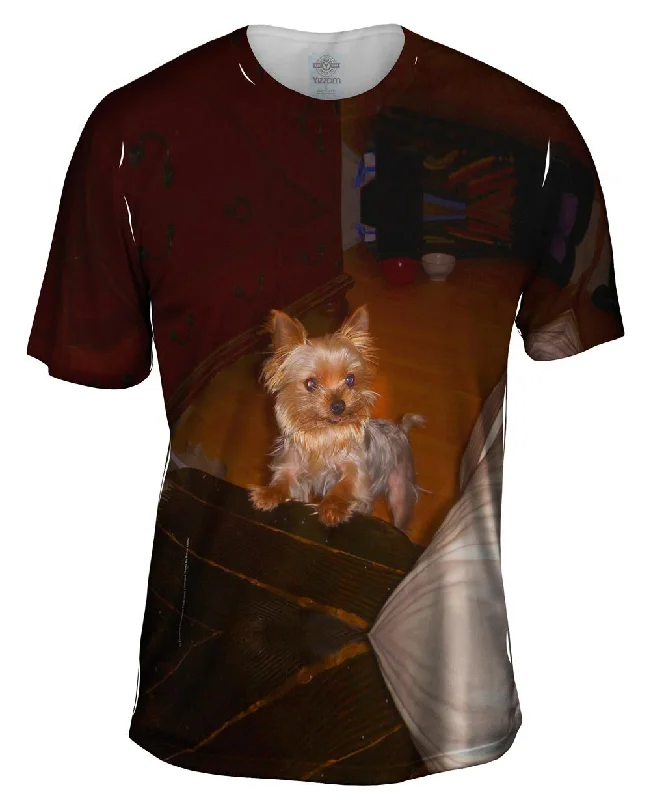 Men's plus - size pocket t - shirts with a classic lookRambunctious Yorkie