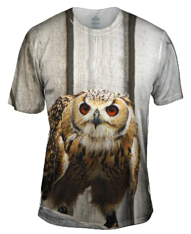 Men's polo t - shirts with a contrast collar for a preppy lookReady Owl