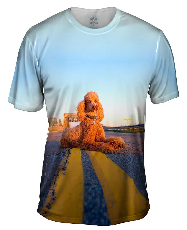 Men's organic cotton crew - neck t - shirts for everyday comfortRebel Highway Poodle