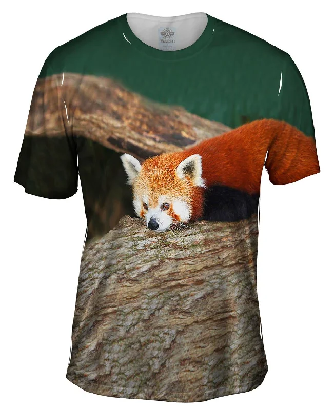 Men's slim - fit graphic t - shirts with vintage rock band printsRed Panda Wonder