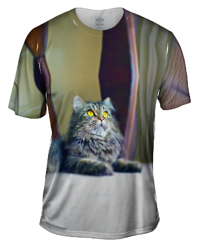 Men's mock - neck t - shirts with a modern and sleek styleRelaxing Kitty Cat