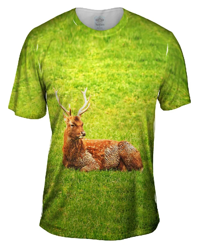 Men's v - neck muscle t - shirts for a body - building aestheticRestful Dear
