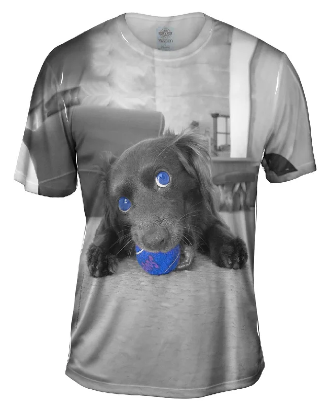 Men's organic cotton crew - neck t - shirts for everyday comfortRetro Spaniel