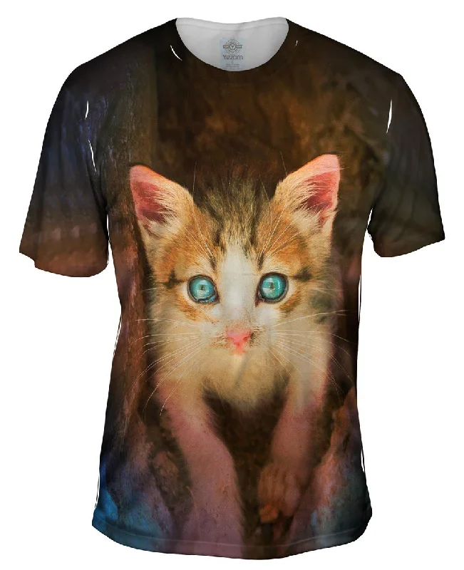 Men's plus - size pocket t - shirts with a classic lookRio City Kitten